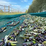 아파트 Podere Pizzicagallo