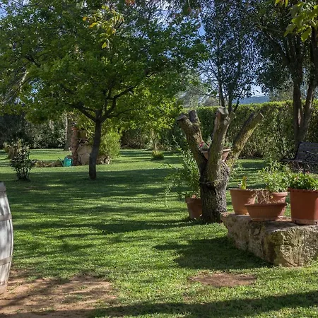 Podere Pizzicagallo Apartman *