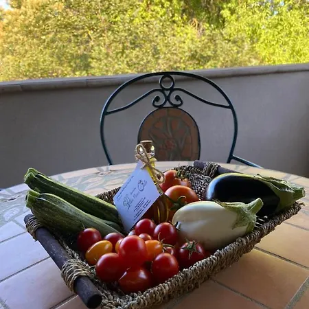Apartman Podere Pizzicagallo