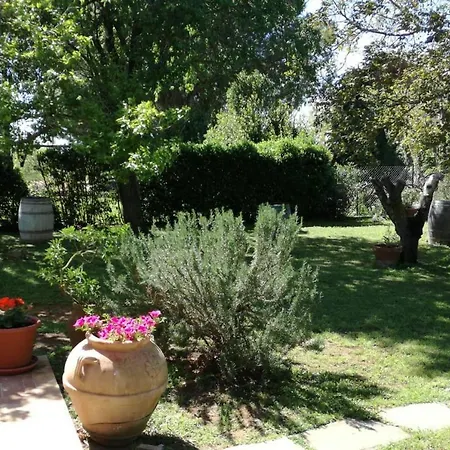 Apartman Podere Pizzicagallo *